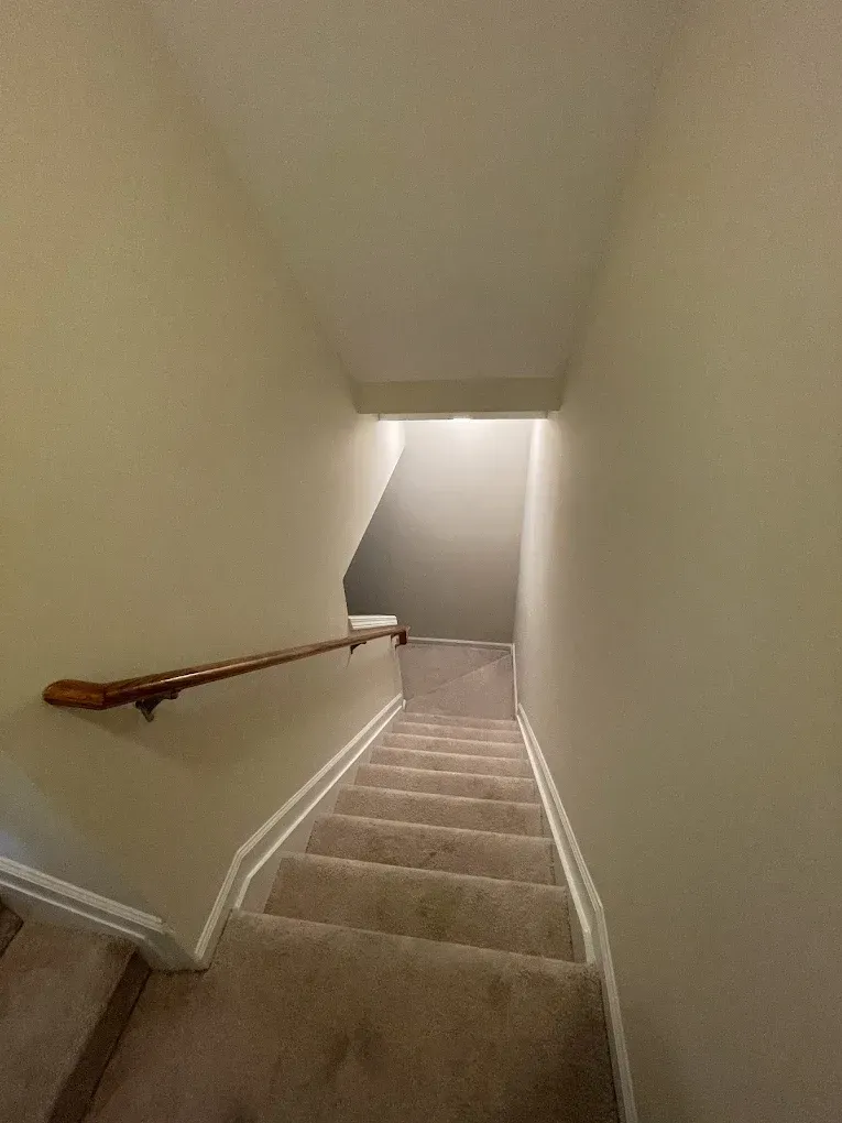 A carpeted staircase descends between two light-colored walls, featuring a wooden handrail on the left.