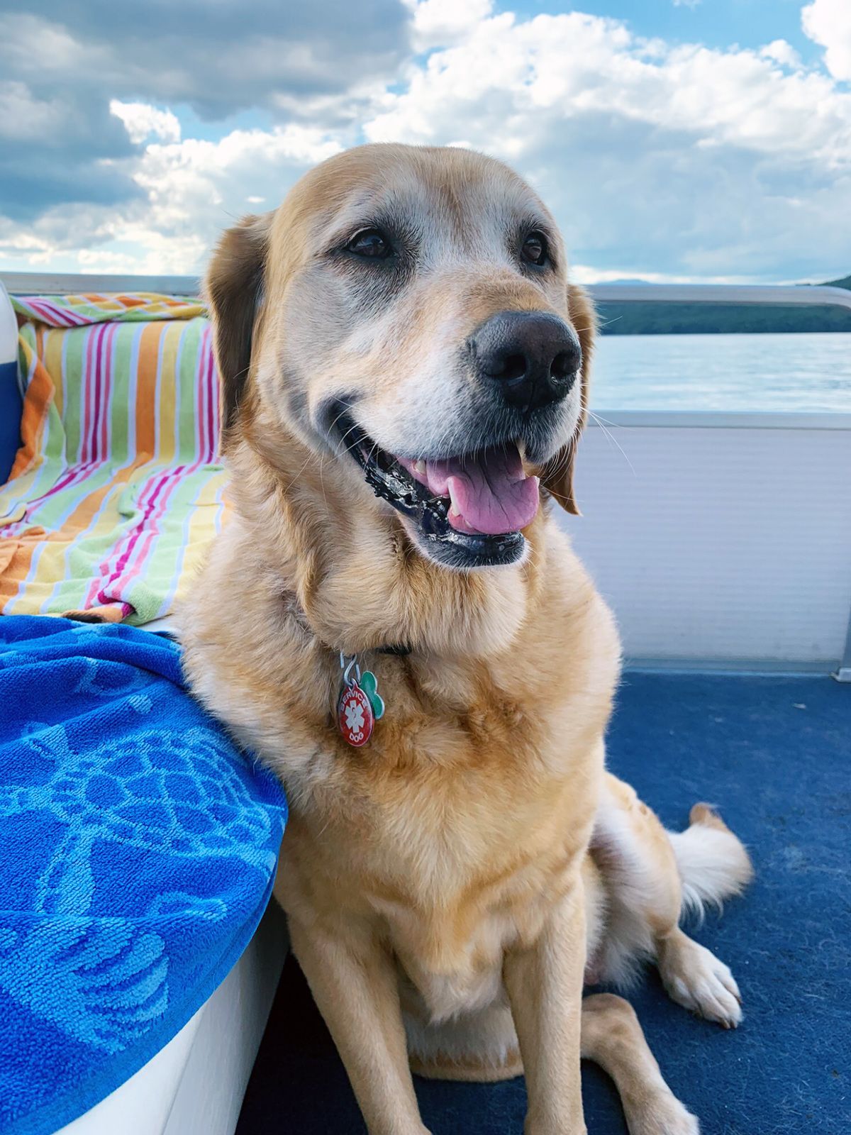Breeze sitting on a boat next to a blue towel