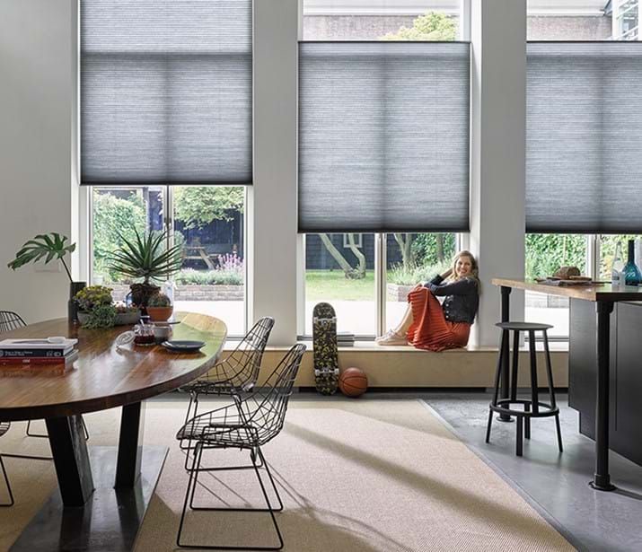 Interior with window shades; person sitting in window, gazing out. Table, chairs, and plants visible. Interior with window shades; person sitting in window, gazing out. Table, chairs, and plants visible.