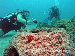 People-underwater.jpg