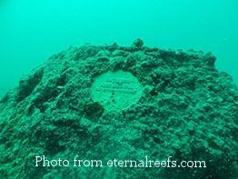 Underwater-1.jpg