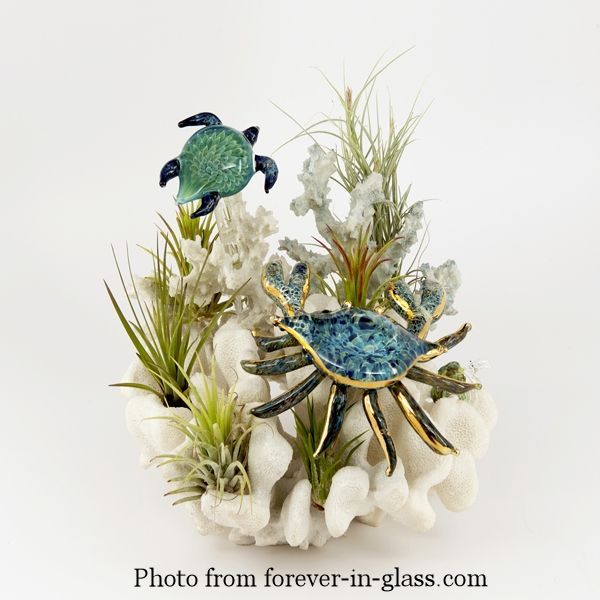 crab-and-turtle-over-coral.jpg