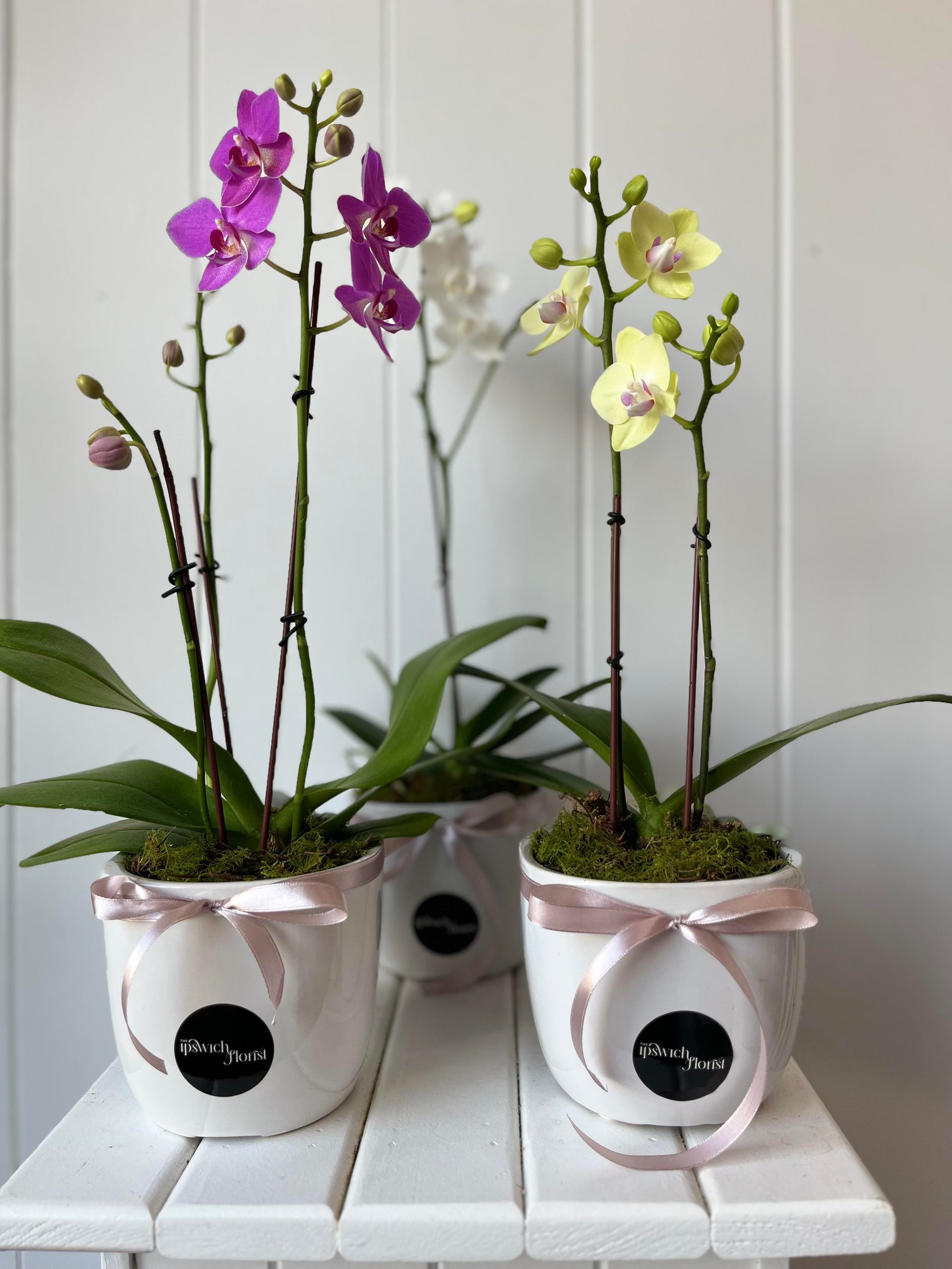 Florist Ipswich, QLD The Ipswich Florist