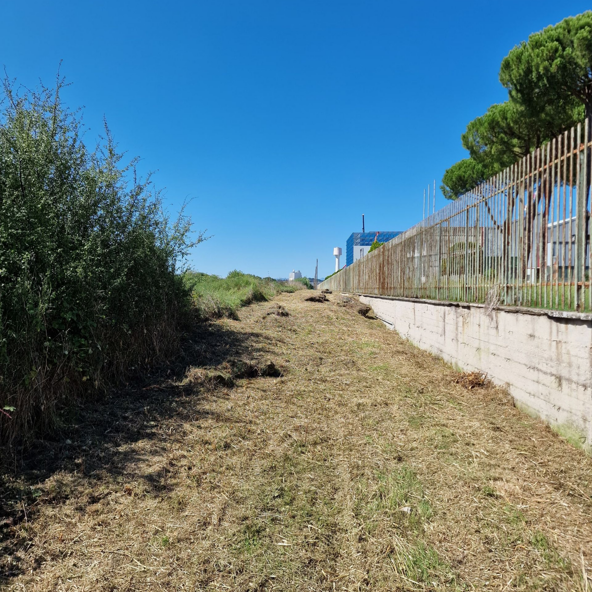 Manutenzione aree verdi F.lli Gi.Ma.