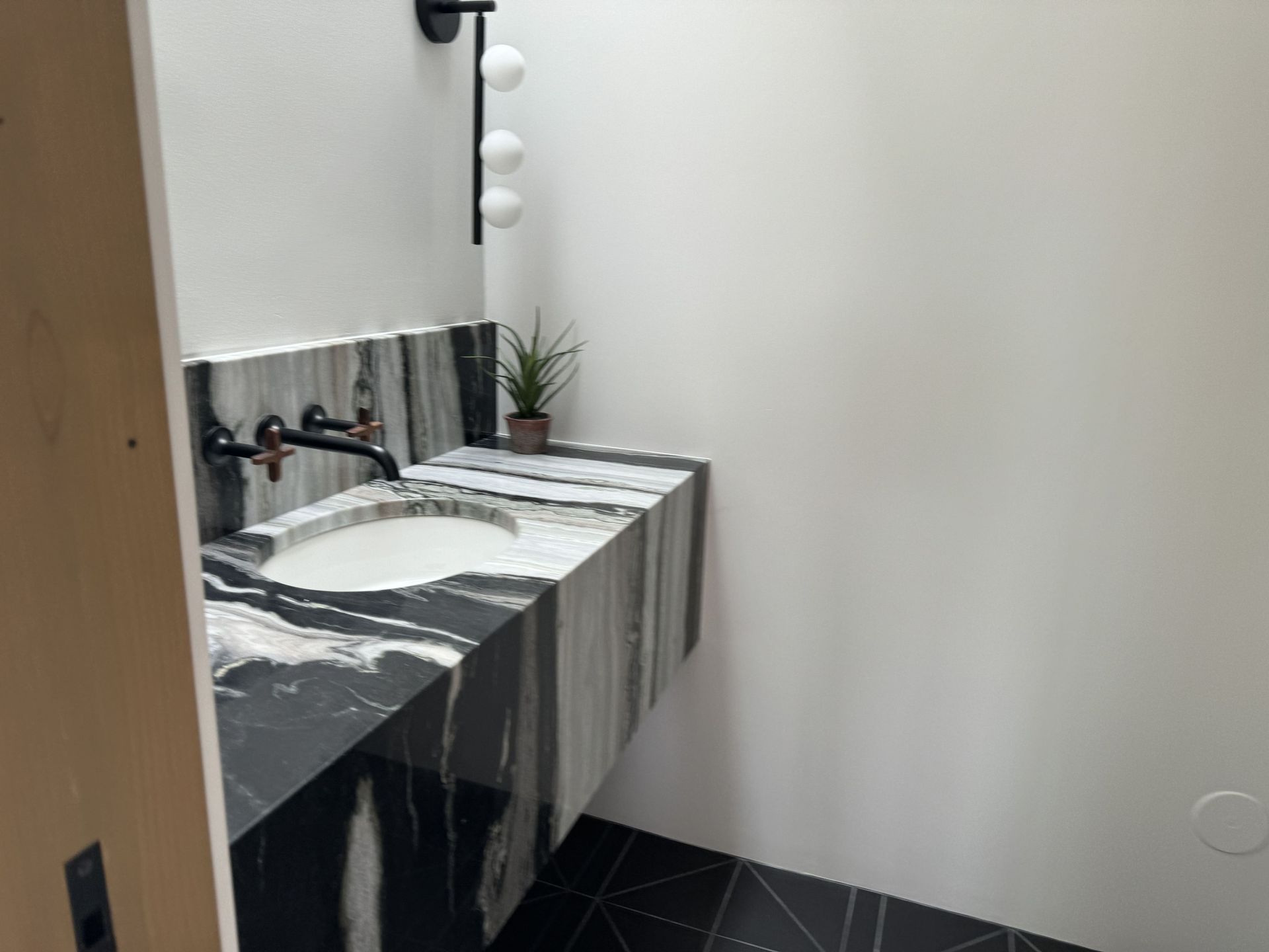 A bathroom with a sink and a plant on the counter.