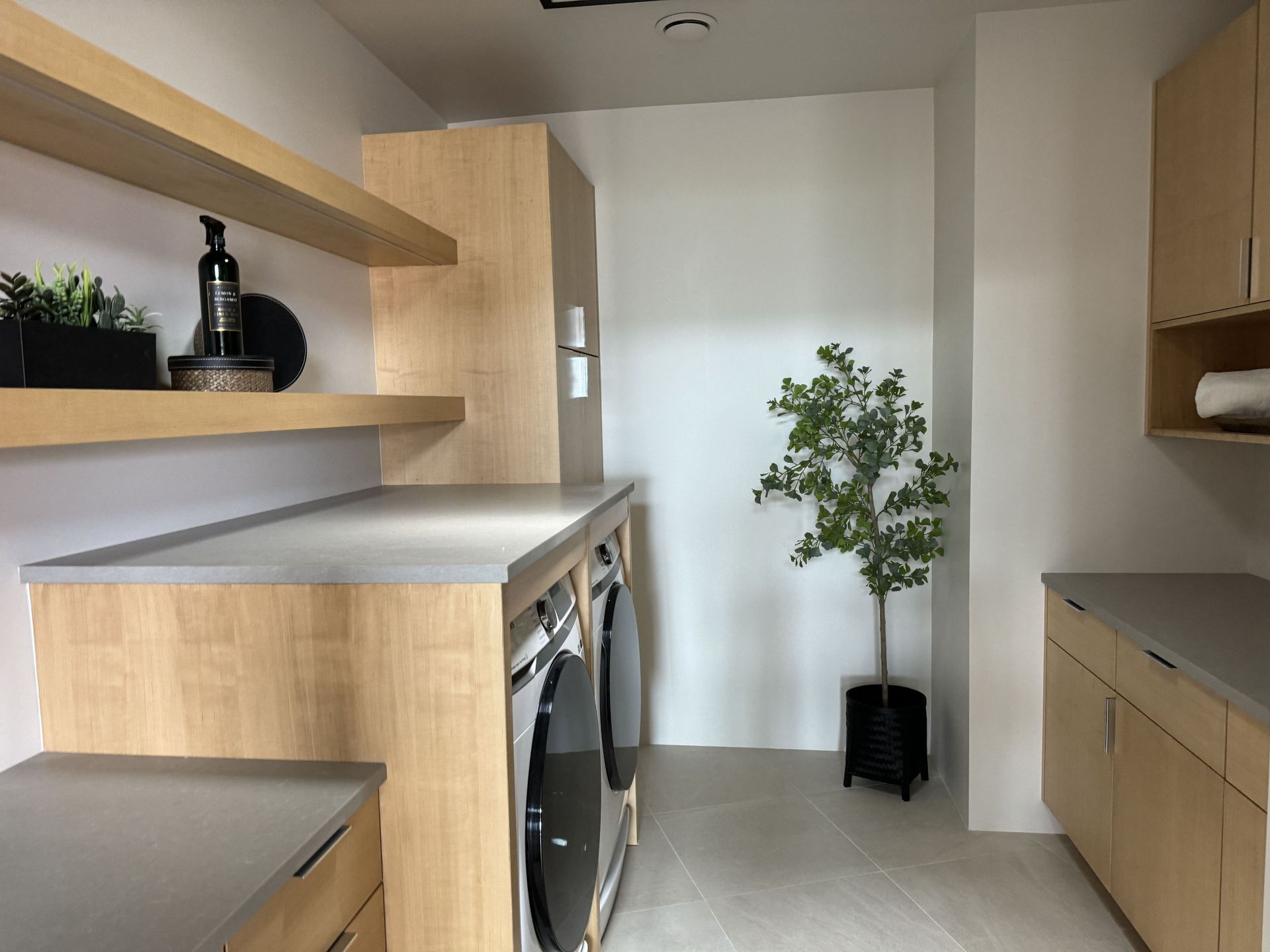 A laundry room with a washer and dryer and a potted plant.