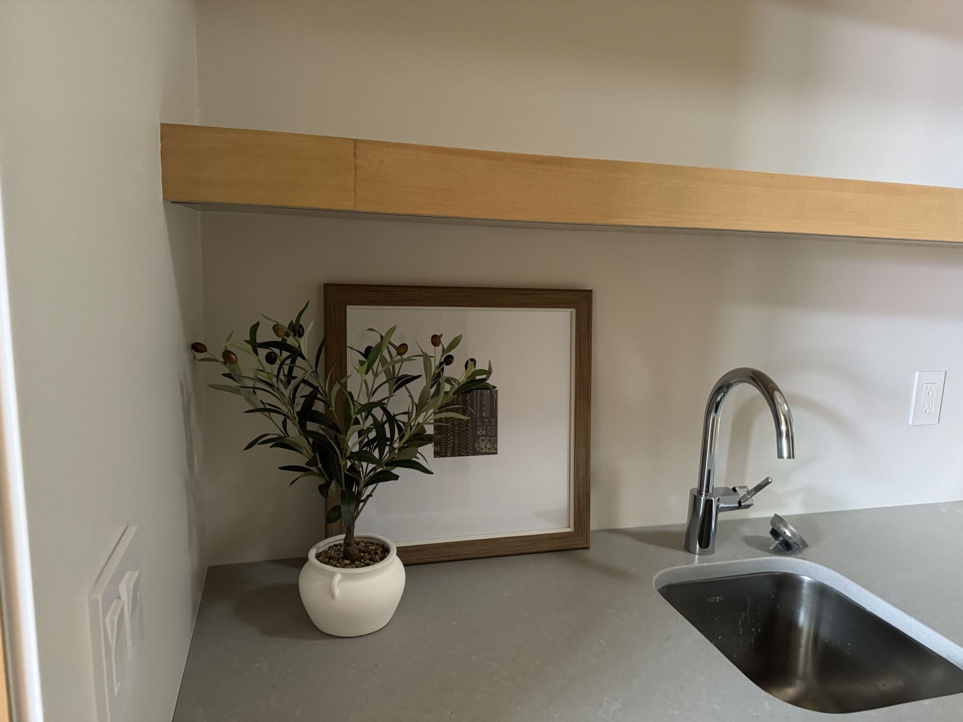 A potted plant is sitting on a counter next to a sink.
