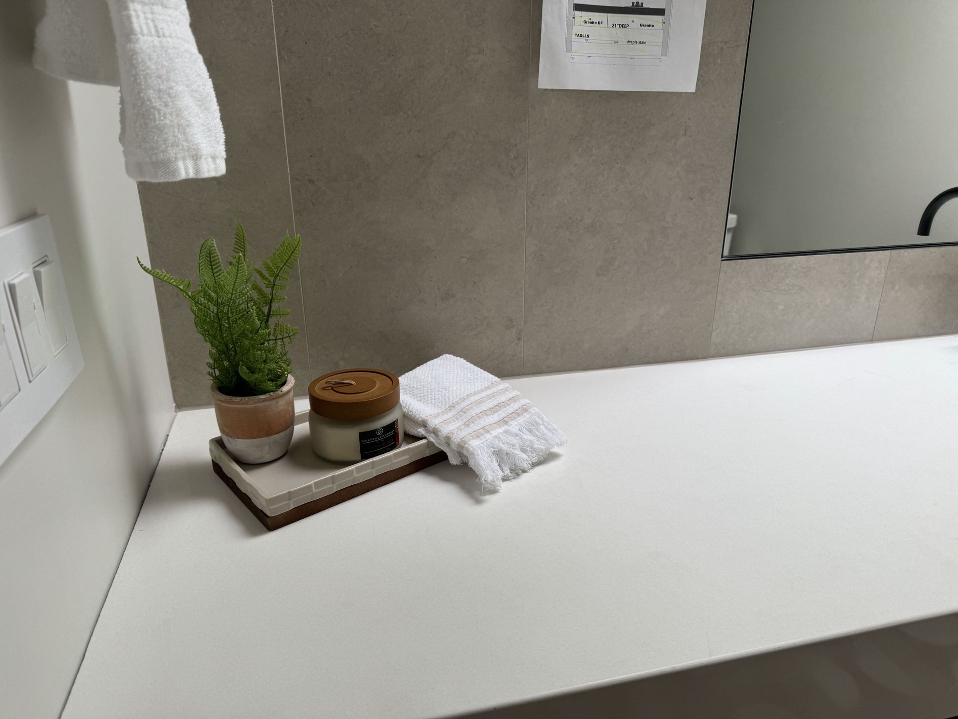 A bathroom counter with a plant and a towel on it