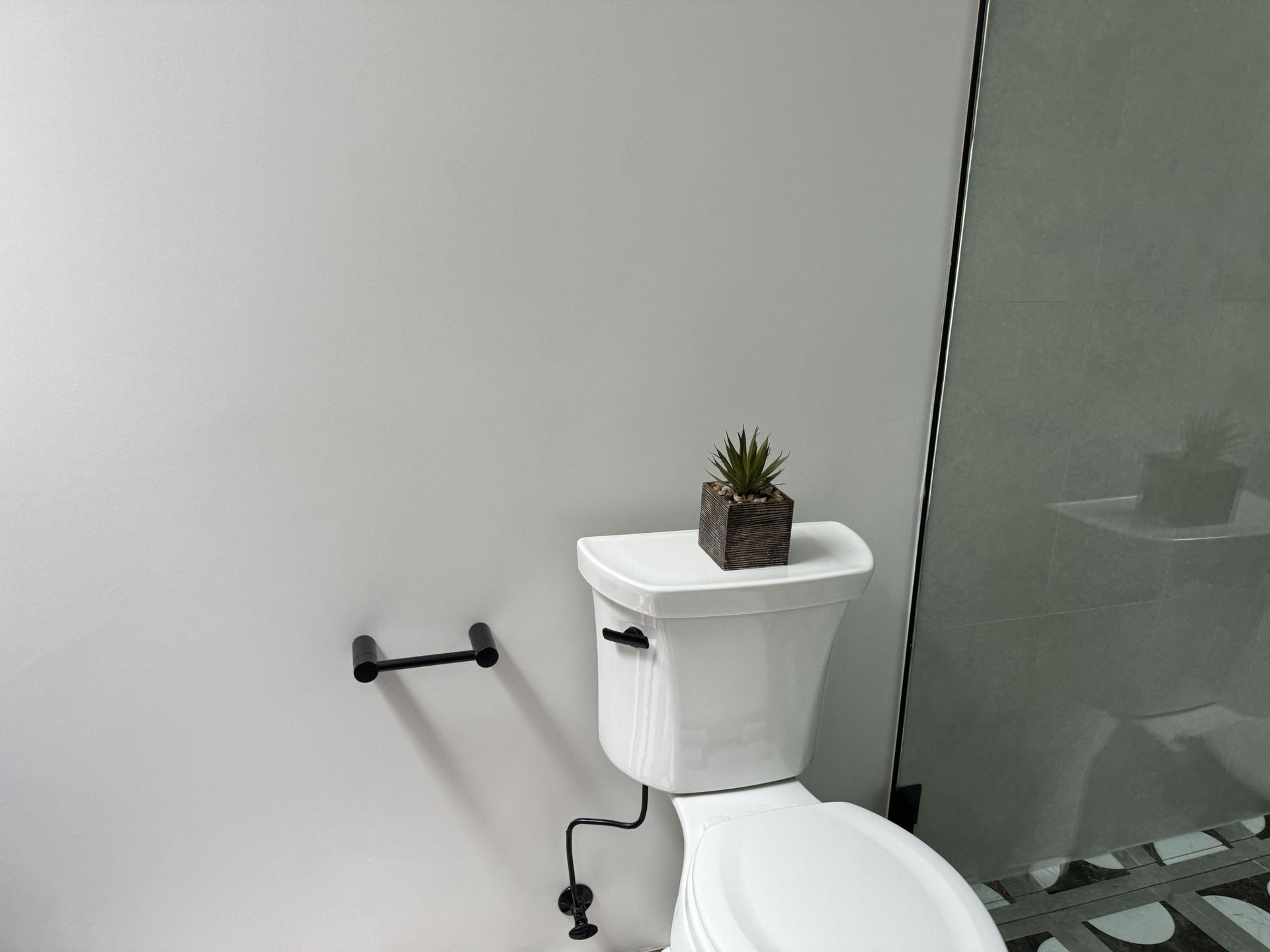 A toilet with a plant on top of it in a bathroom.