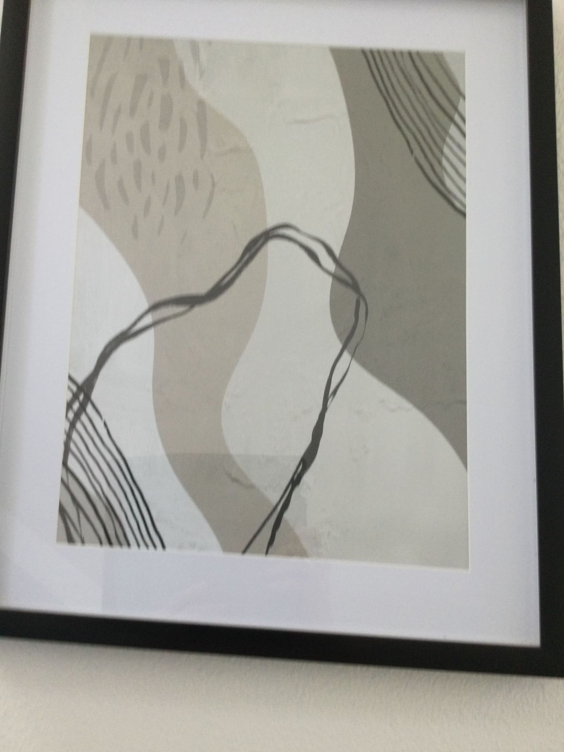 A picture of a bird in a black frame