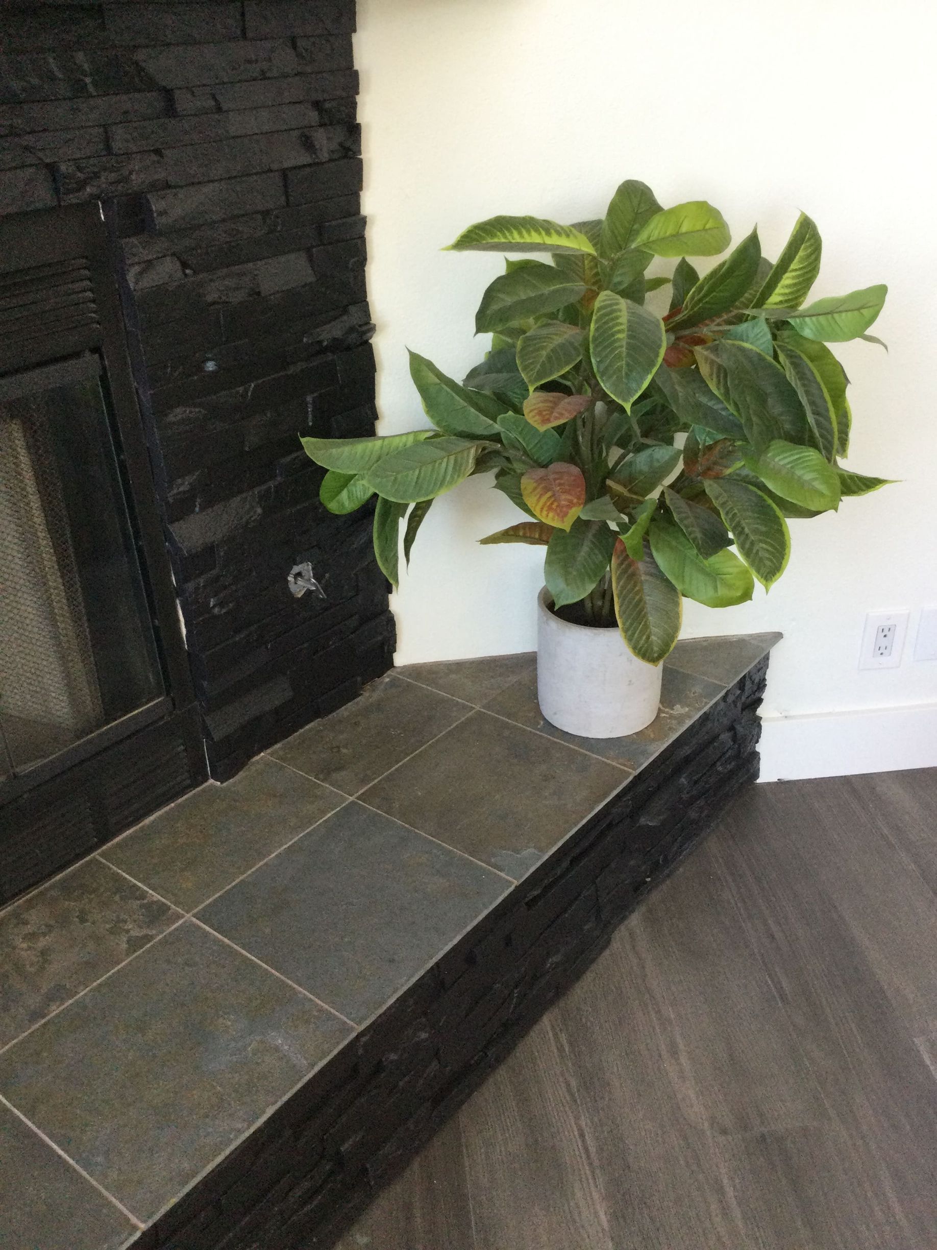 A potted plant is sitting on a tiled ledge next to a fireplace.
