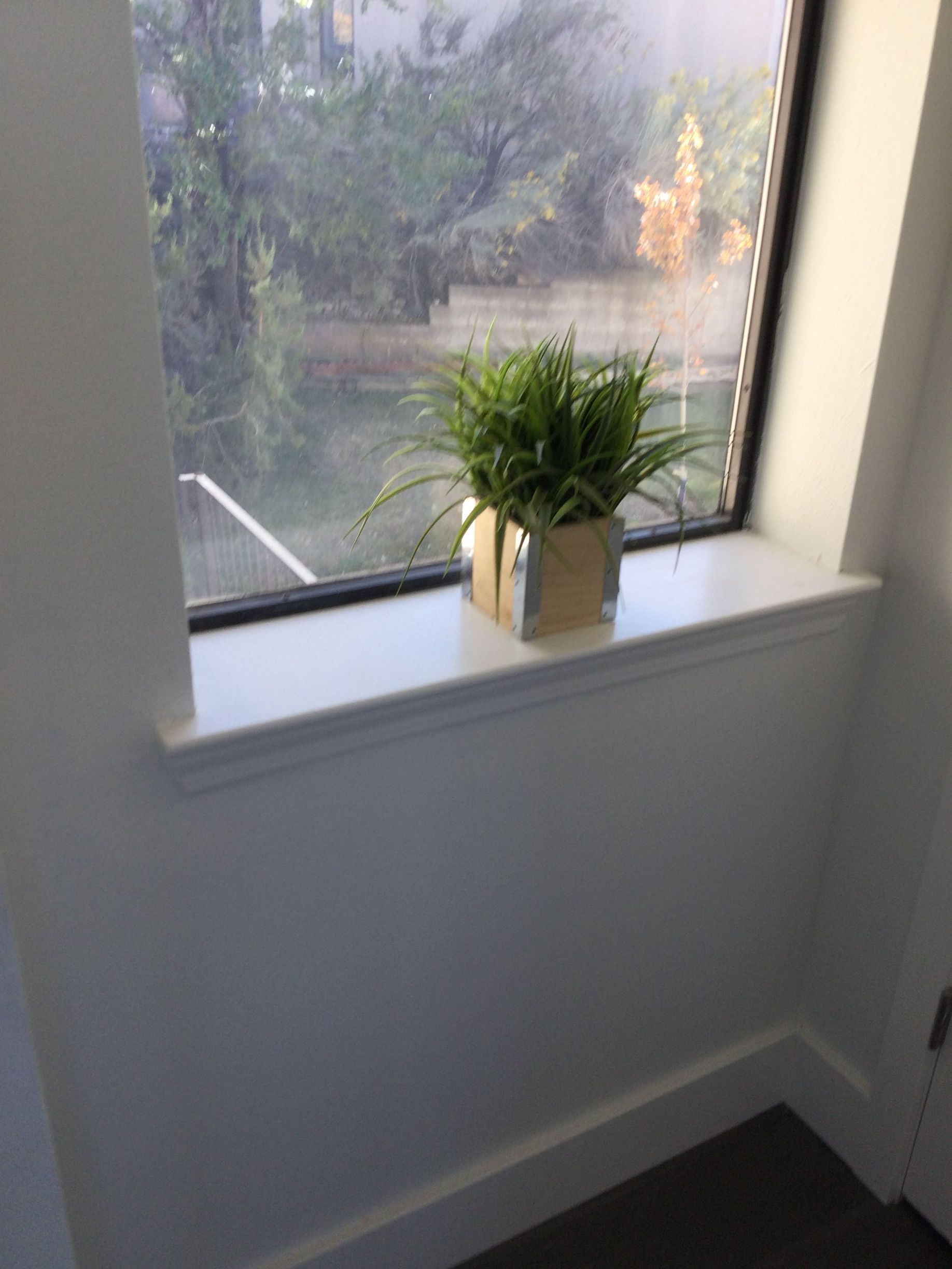 A potted plant is sitting on a window sill next to a window.
