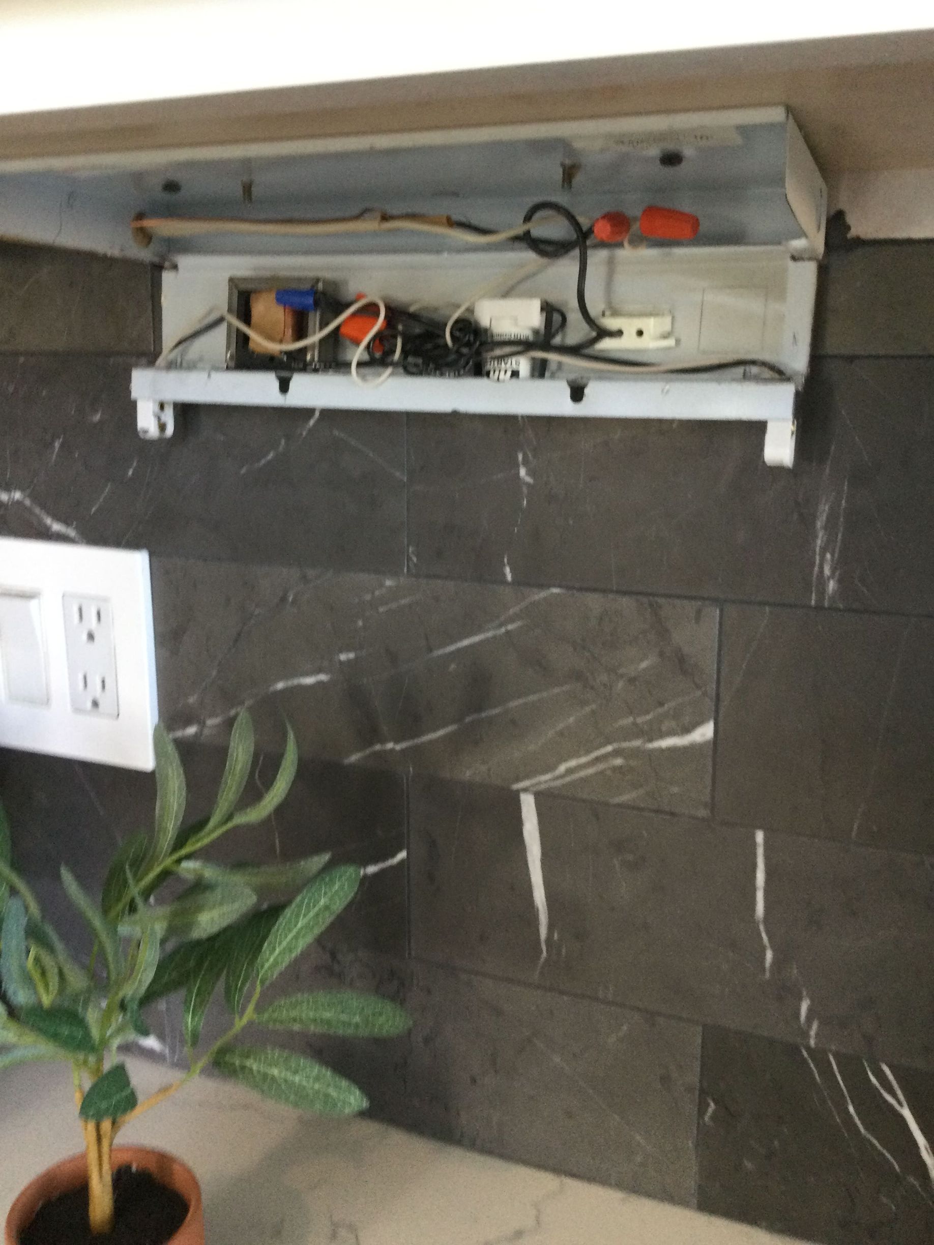 A potted plant sits next to a power strip