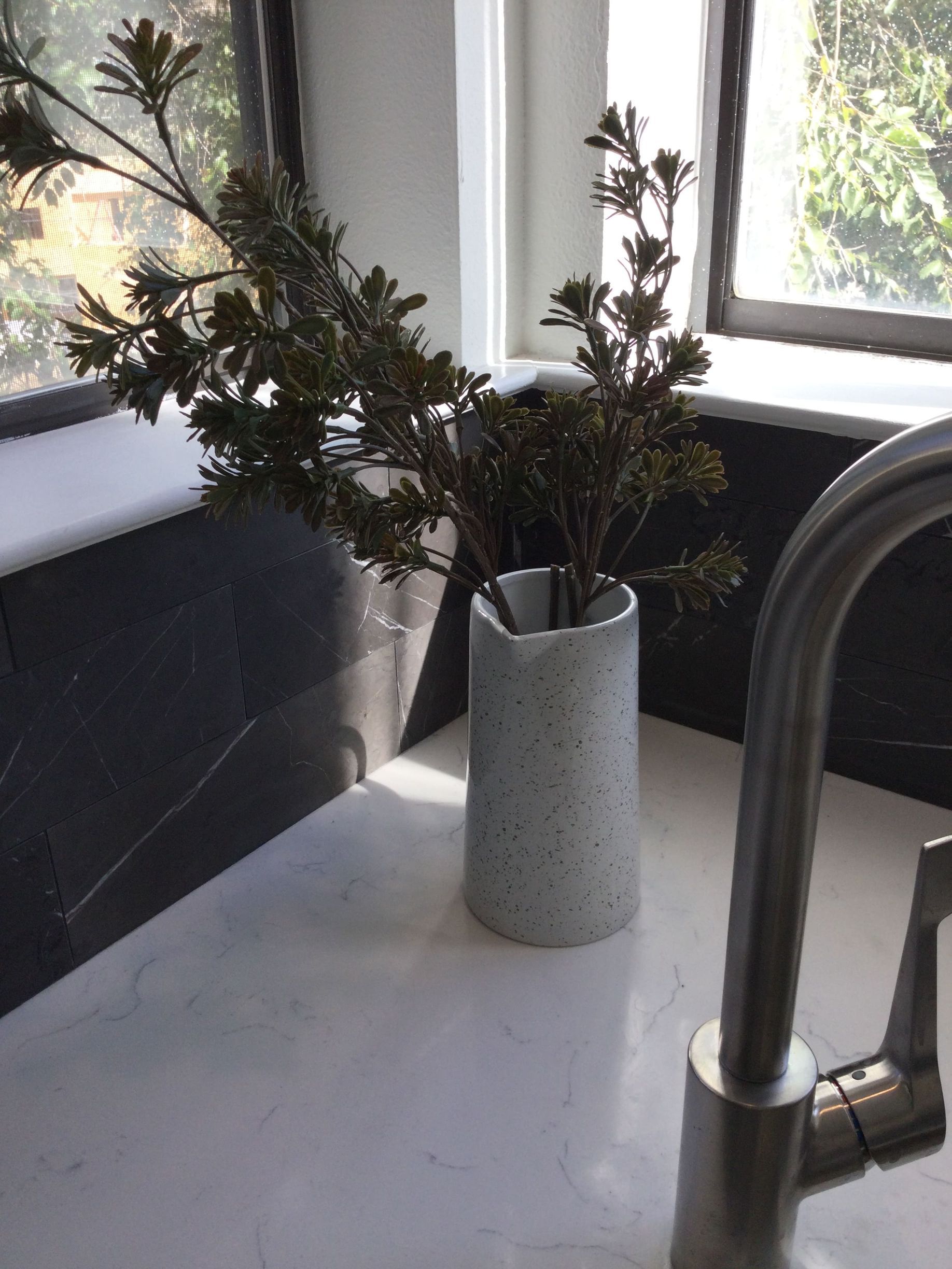 A potted plant is sitting on a kitchen counter next to a sink.