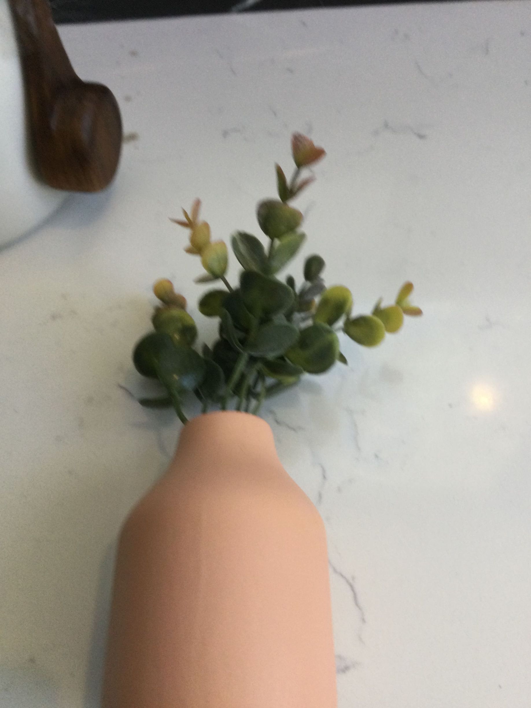 A vase with a plant in it sits on a counter