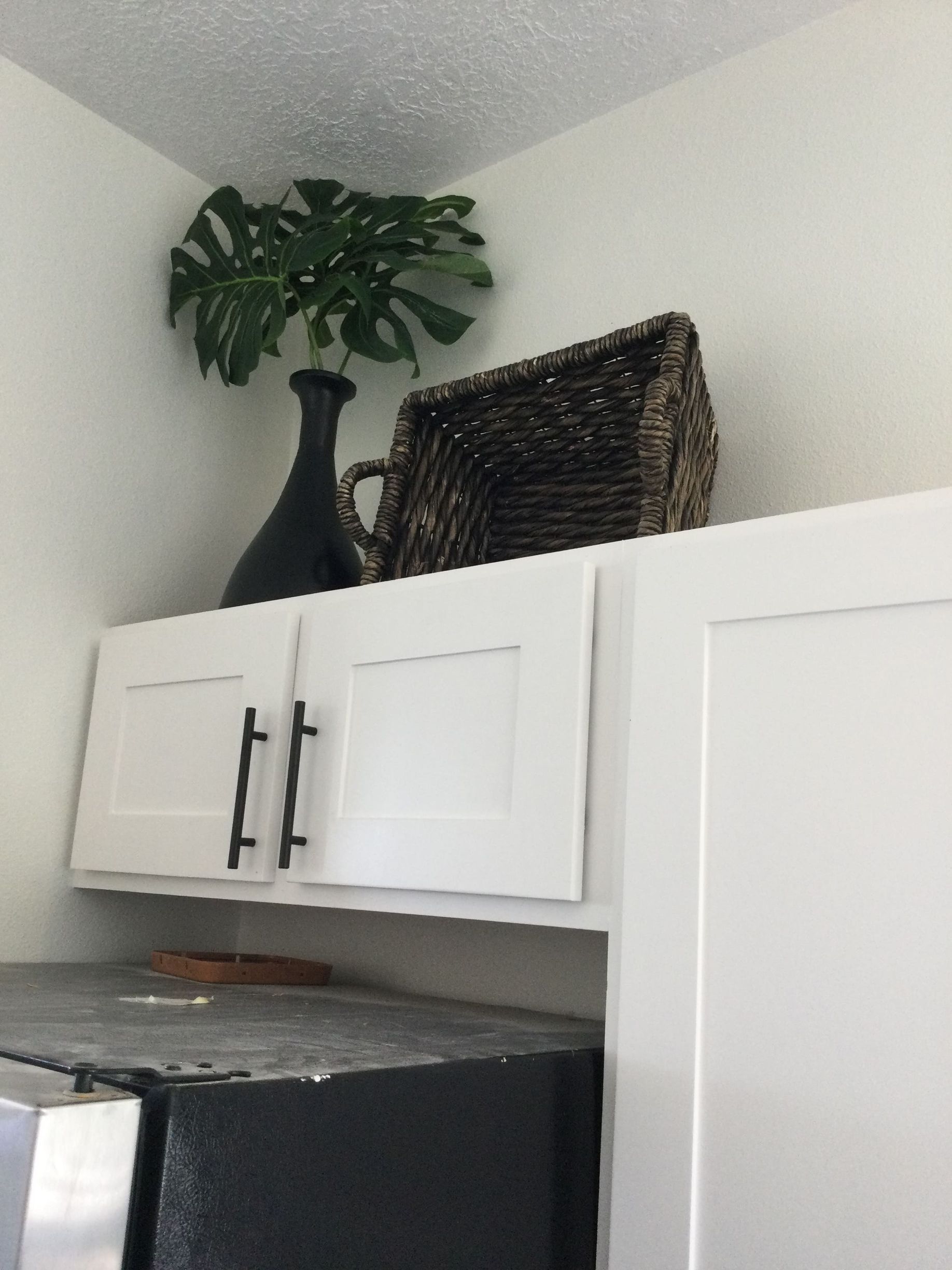 A kitchen with white cabinets and a plant on top