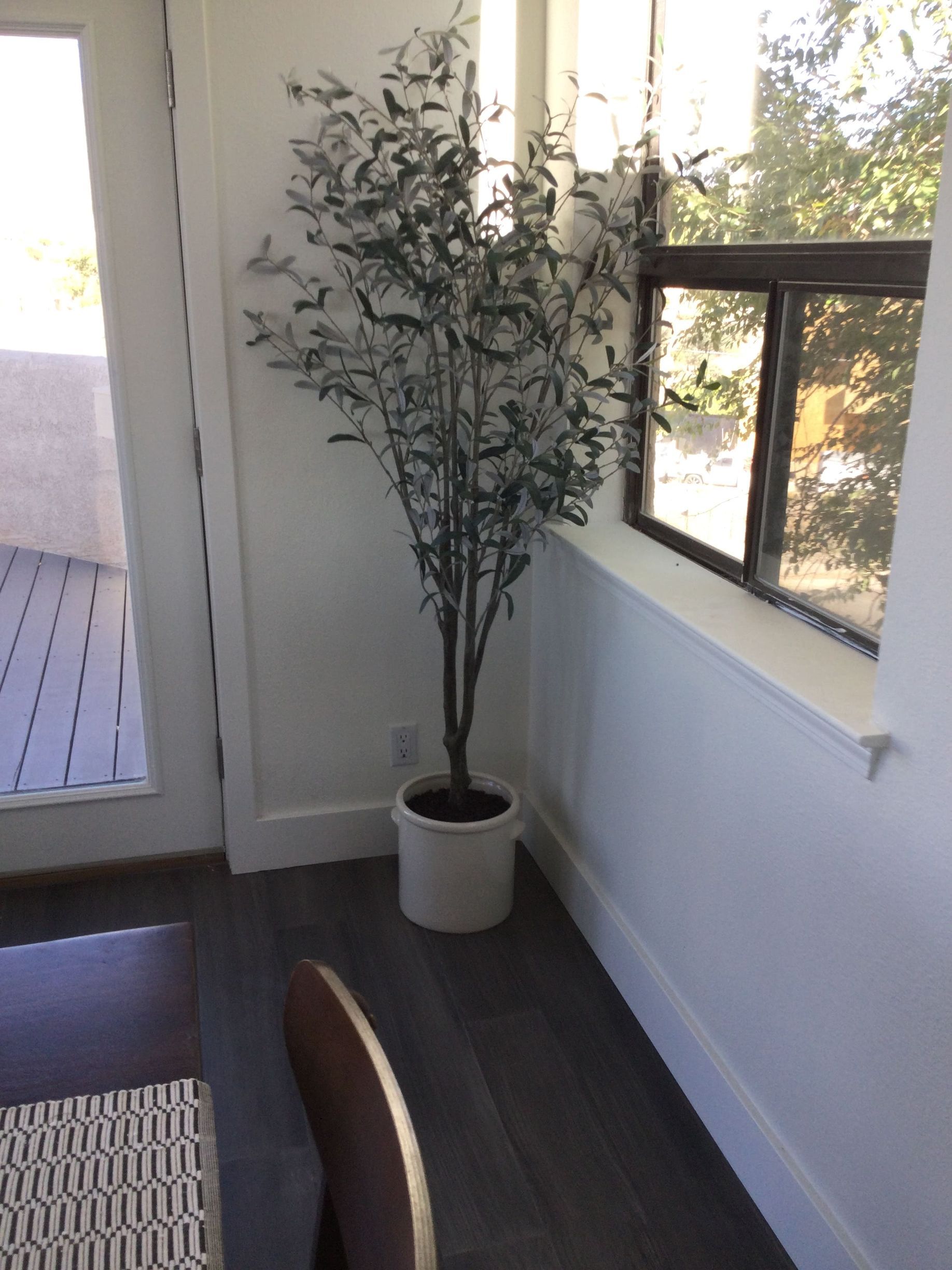 A potted plant is sitting in a corner of a room next to a window.