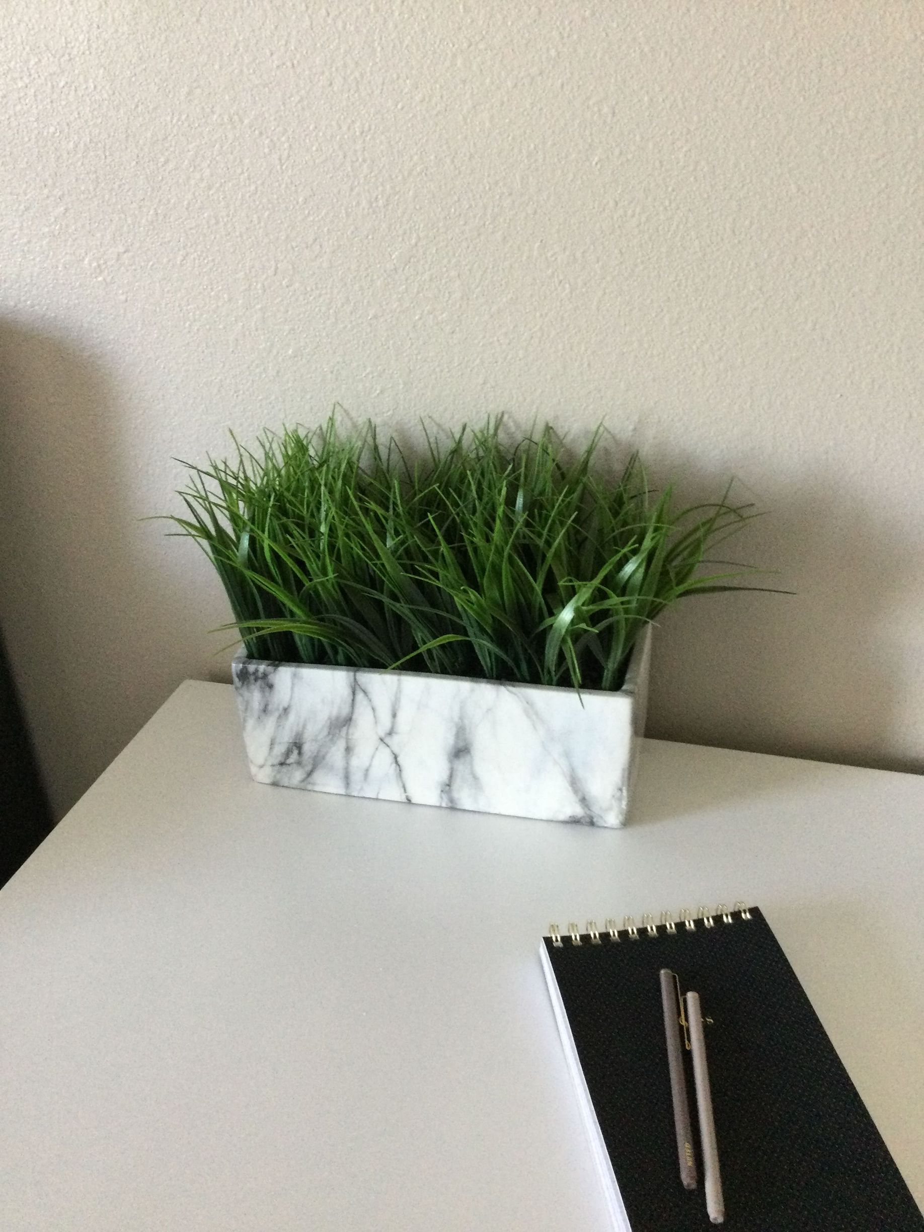 A potted plant is sitting on a desk next to a notebook and pens.