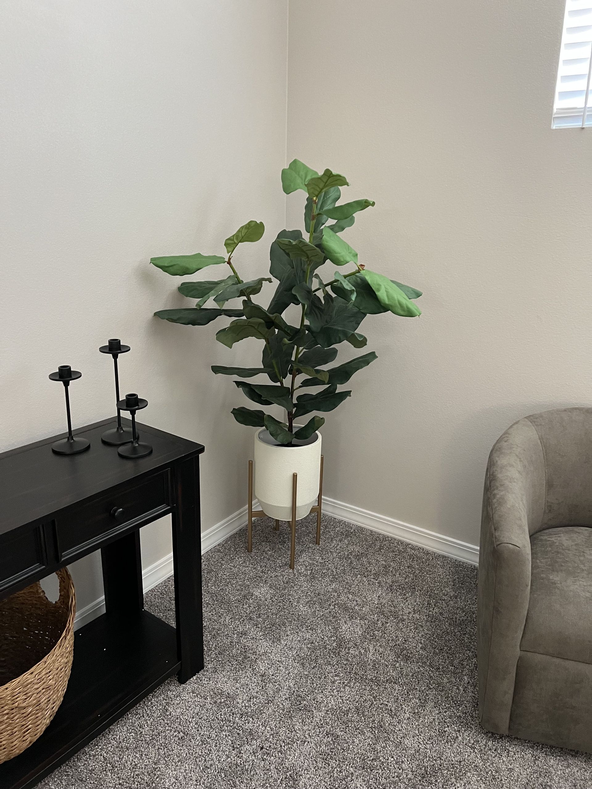 A living room with a fiddle leaf fig tree in the corner.