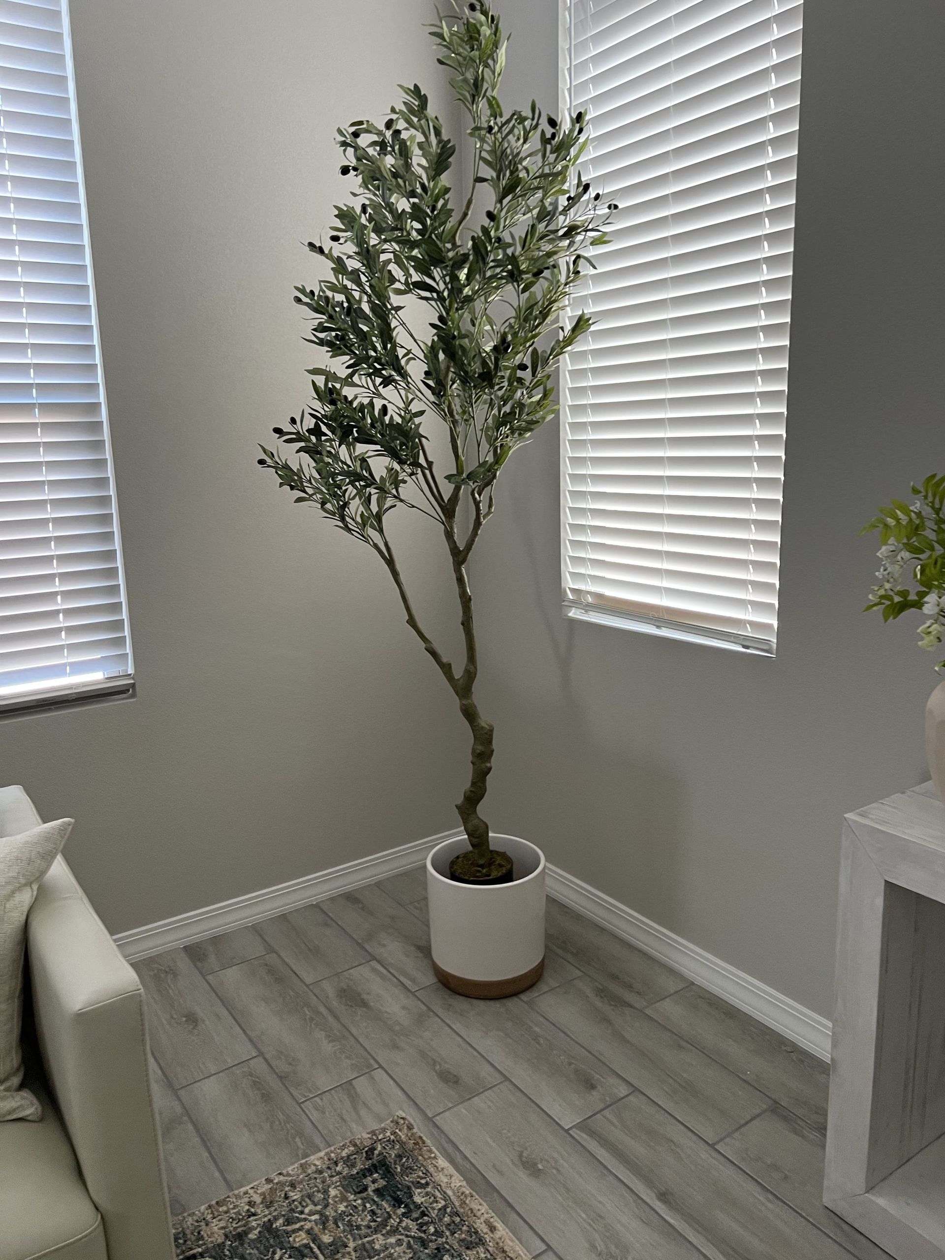 A large potted plant is sitting in a living room next to a window.