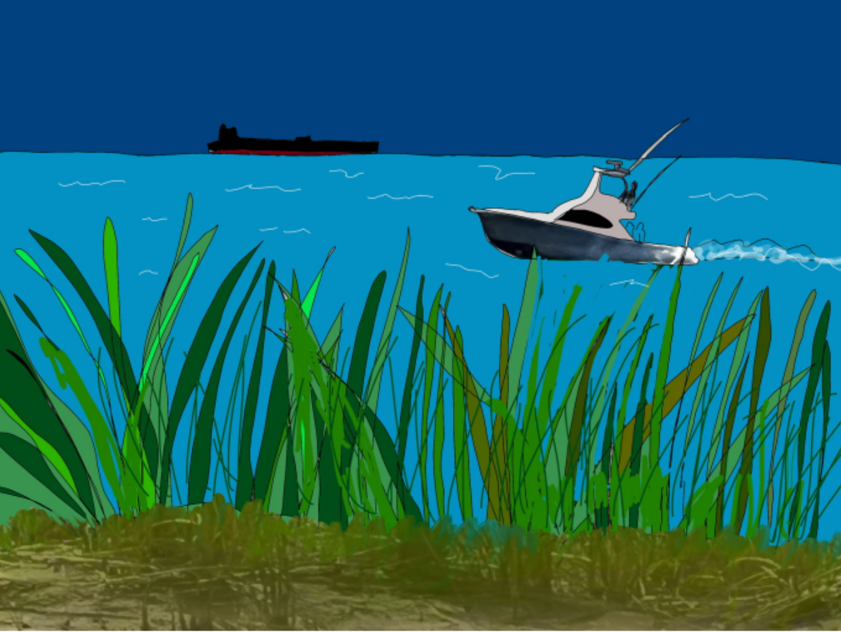 Grassy shoreline with reeds, blue water, a speeding white motorboat, and a dark ship in the distance