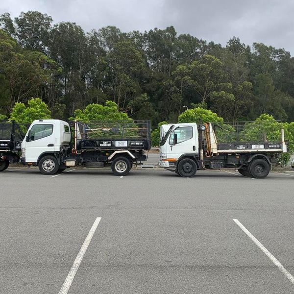 Skip Skip Bins