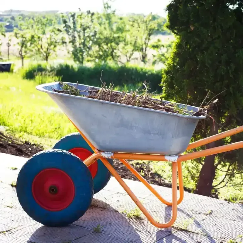 Green Waste Removal Sydney