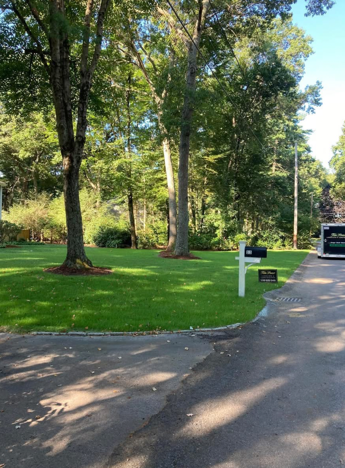 Green lawn with trees, mailbox, and a driveway. Sunny, outdoor setting.