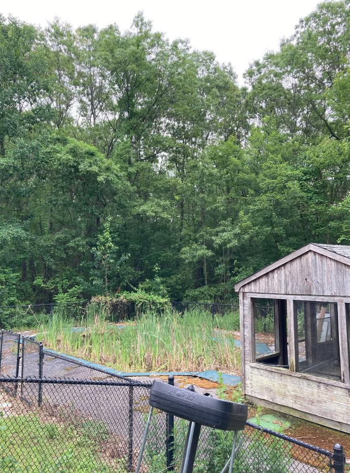 A wooden shed near a fence with a pond and tall grass, lush trees in the background.