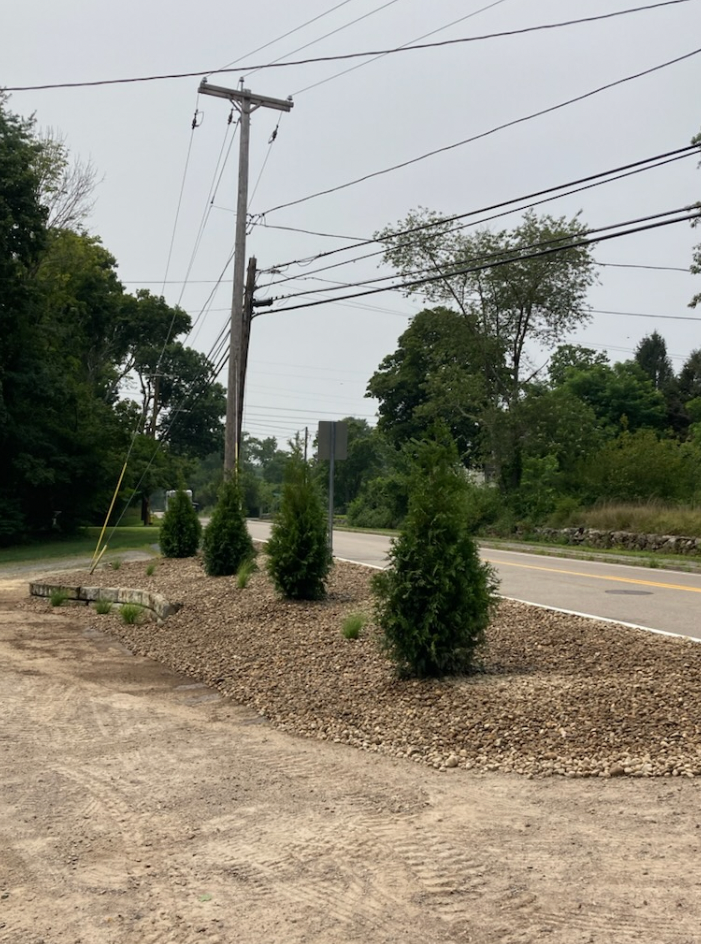 Roadside landscaping with evergreen trees, gravel, power lines, and a gray sky.