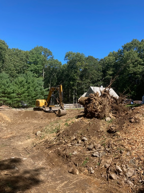 Construction site with excavator and uprooted tree in front of a forest, under a blue sky.
