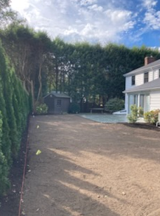 Backyard with freshly tilled soil, a shed, tall hedge, and house with white siding under a partly cloudy sky.