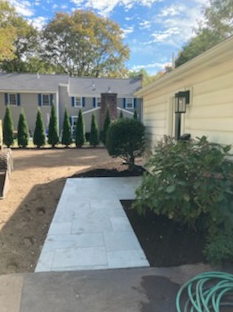 Pathway of light gray paving stones leading towards a small tree, framed by a house and landscaping.