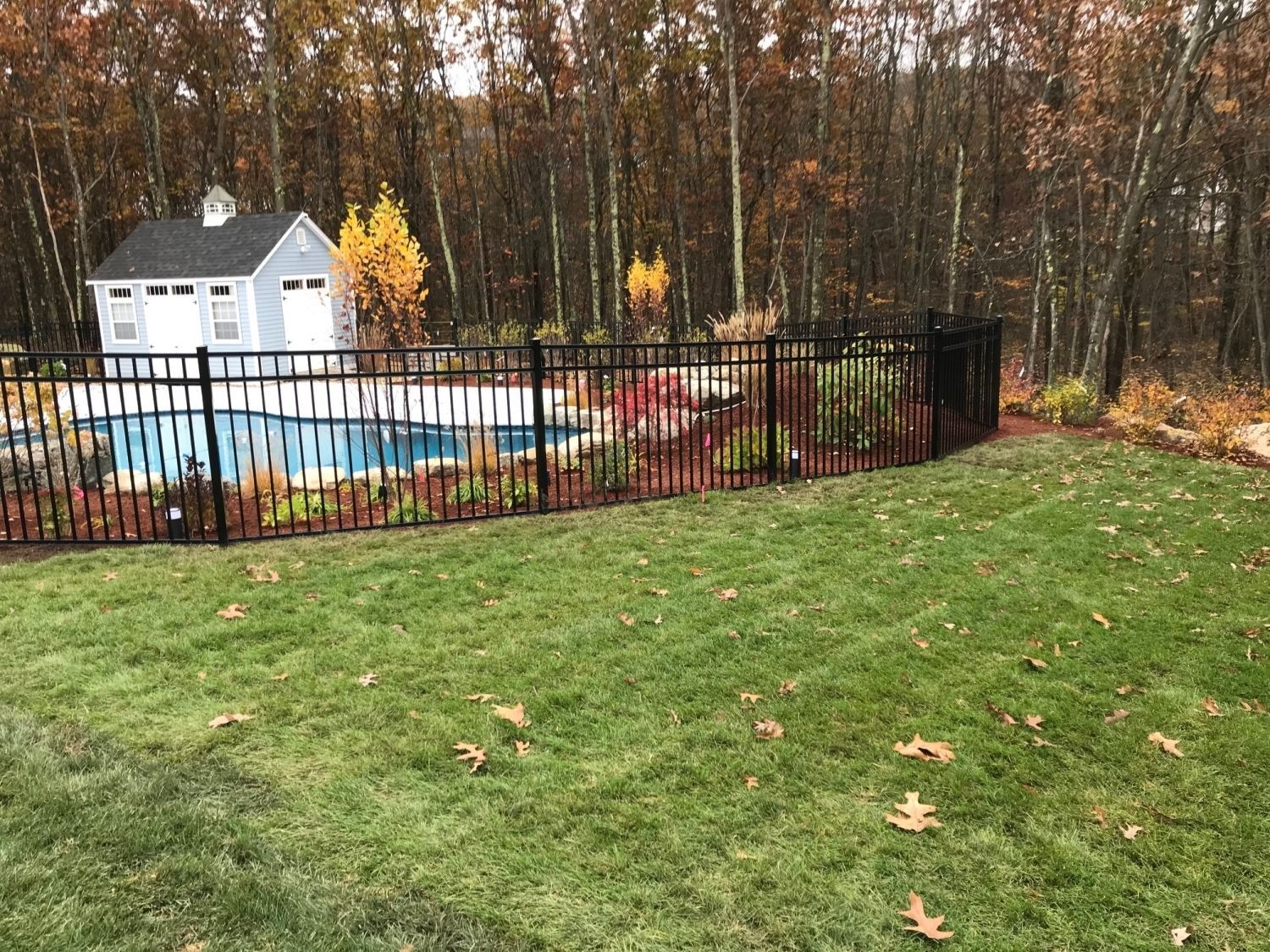 Black fenced-in pool area with a shed in the background and autumn trees. Green grass and fallen leaves in the foreground.