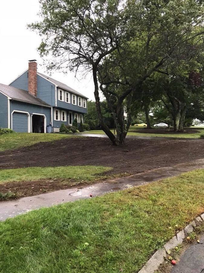 Front yard with tree and fresh mulch in front of a blue house, sidewalk on the left, grass below.