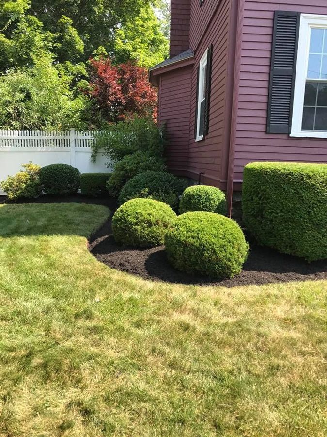 Green lawn borders dark mulch and trimmed green bushes next to a maroon house with black shutters.