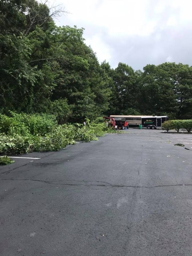 Asphalt parking lot with overgrown bushes. A red truck near a shed is present near trees.