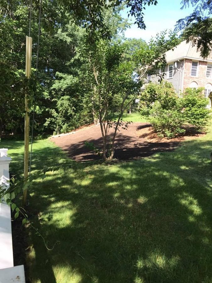 Grassy backyard with a small tree, mulched area, and large house in the background.