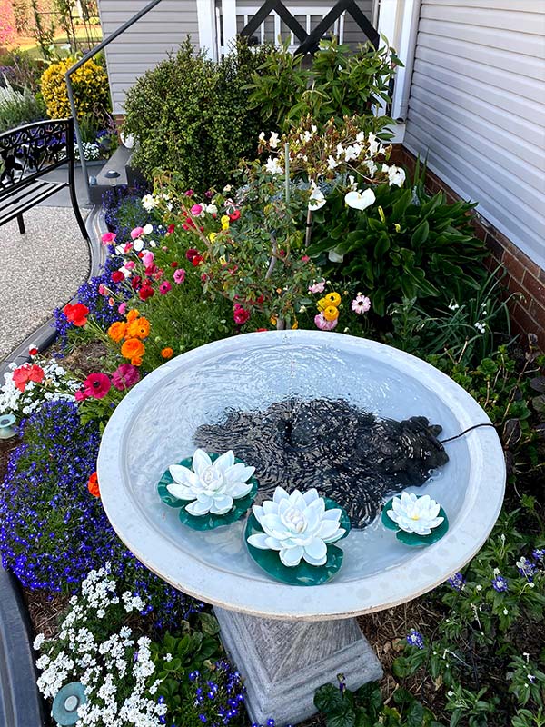bird bath with flowers