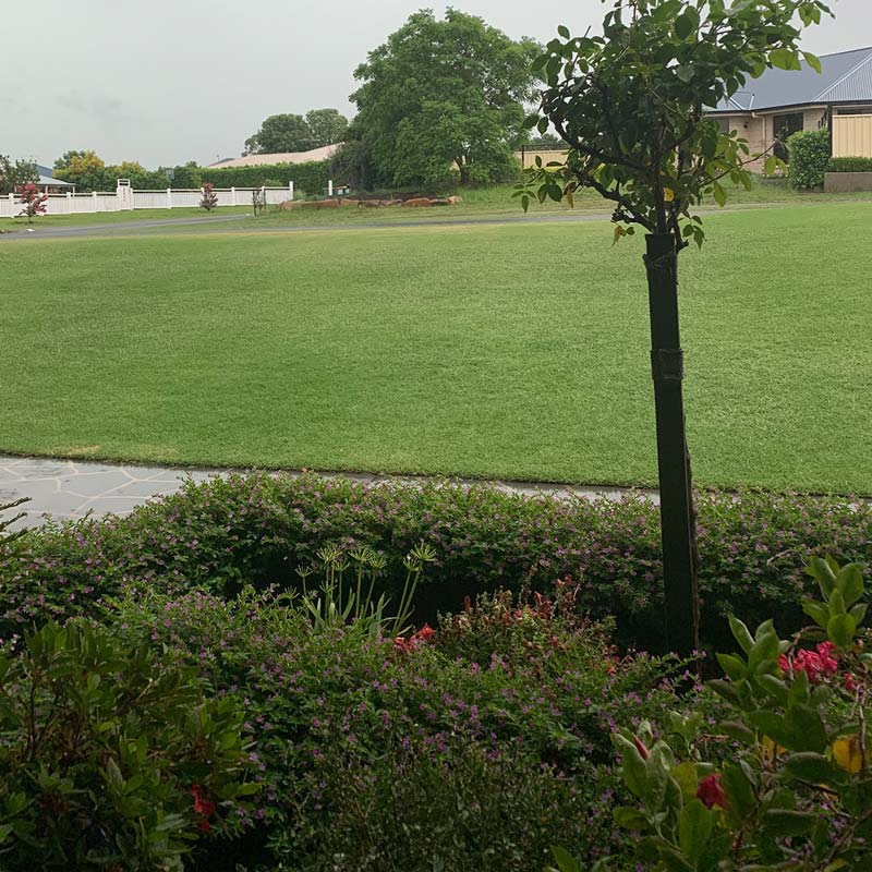 trimmed garden and mowed lawn