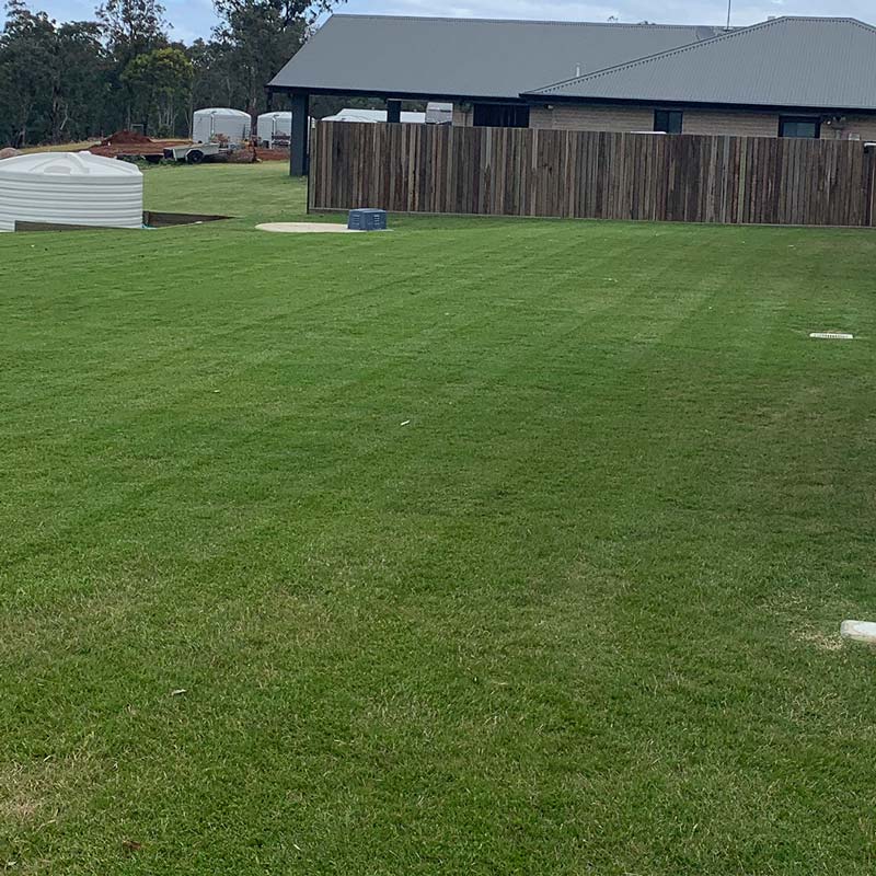 freshly mowed lawn