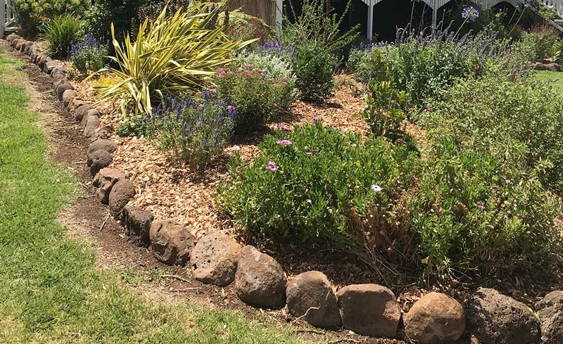 A garden with rocks and plants in front of a house.