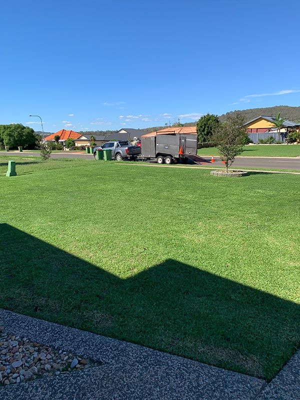 back lawn