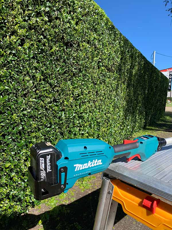 A makita hedge trimmeris sitting on a table in front of a hedge.