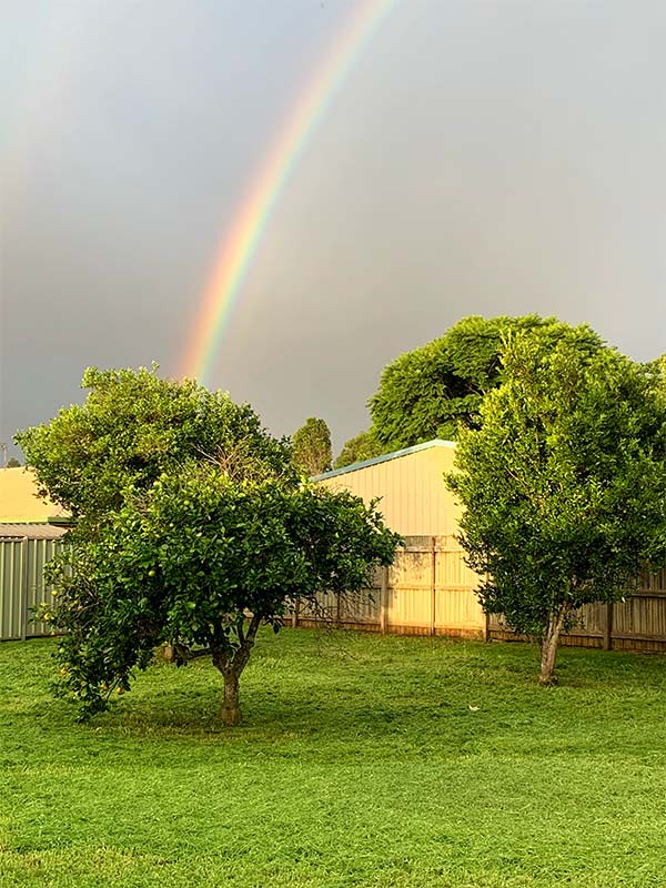 toowoomba rainbow