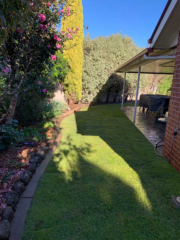 A lush green lawn is surrounded by trees and bushes in a backyard.