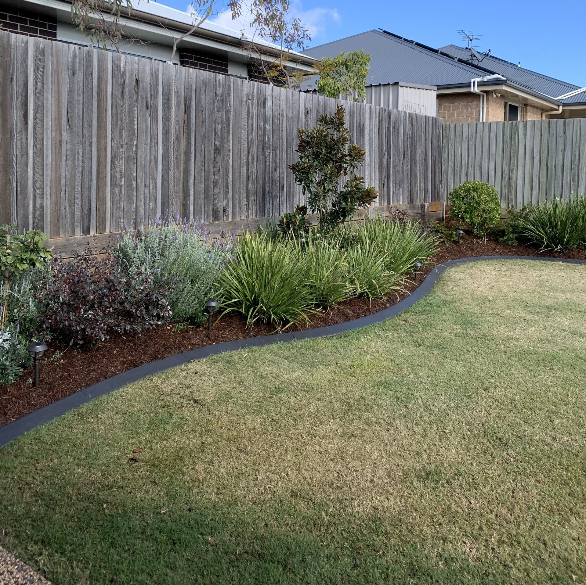trimmed hedges