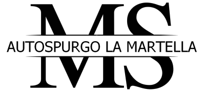AUTOSPURGO LA MARTELLA logo