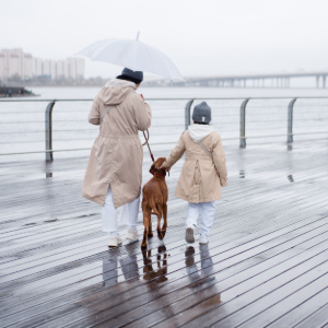 Two people and a dog walk under umbrellas on a rainy boardwalk by the water.