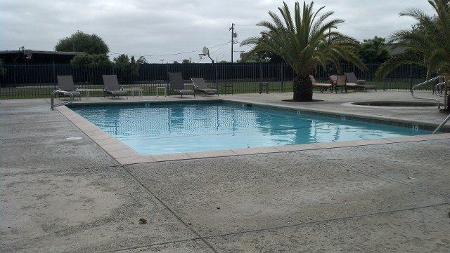 A large swimming pool surrounded by chairs and palm trees